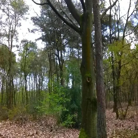 펜션 Holiday Home 3 Km From Baarle-Nassau 발레나쏘