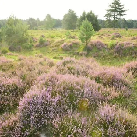 Semesterbostad Spacious With A Fireplace At 3 Km From Baarle-Nassau