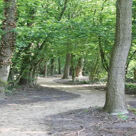 Spacious With A Fireplace At 3 Km From * Baarle-Nassau