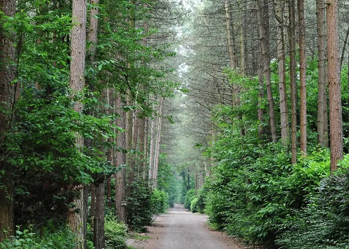 Holiday Home 3 Km From Baarle-Nassau * Baarle-Nassau