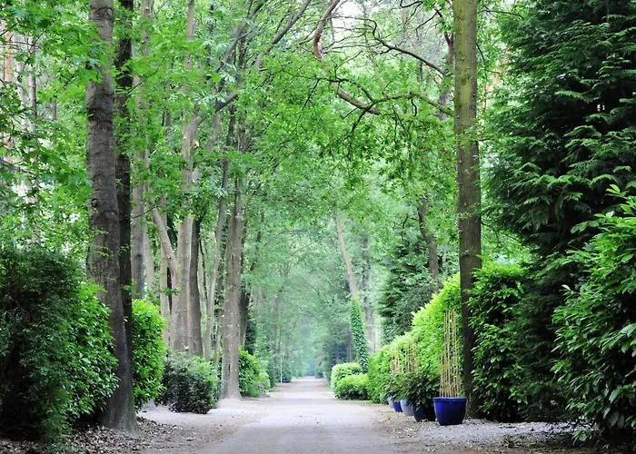 Holiday Home 3 Km From Baarle-Nassau