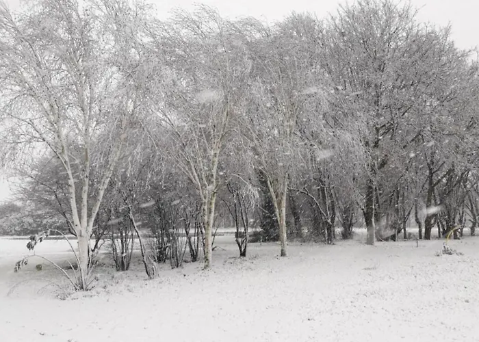 Holiday Home 3 Km From Baarle-Nassau *