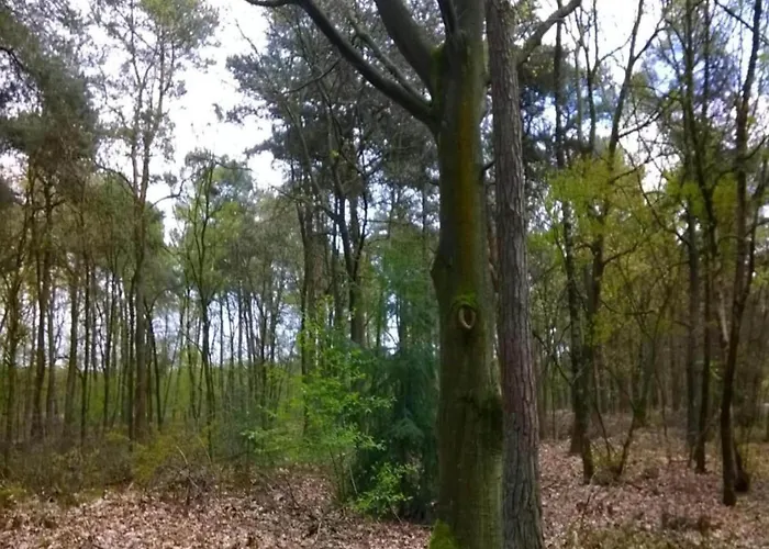 Σπίτι διακοπών Holiday Home 3 Km From Baarle-Nassau Baarle-Nassau