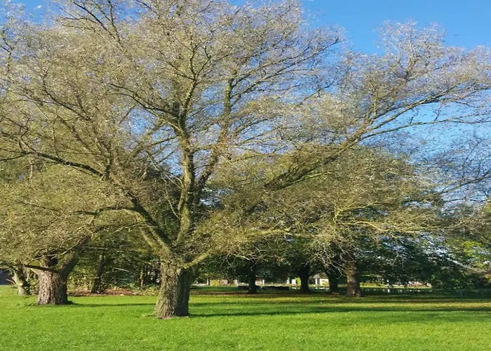 Holiday Home 3 Km From Baarle-Nassau Σπίτι διακοπών *