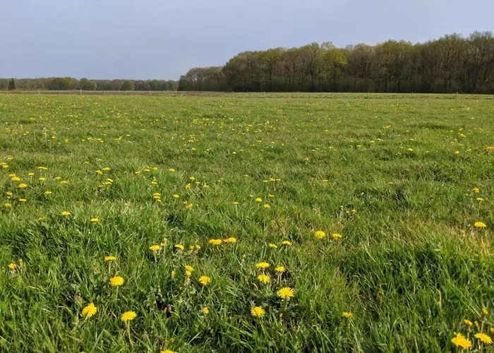 Σπίτι διακοπών Holiday Home 3 Km From Baarle-Nassau