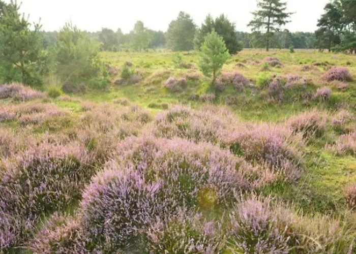 Σπίτι διακοπών Holiday Home 3 Km From Baarle-Nassau Baarle-Nassau